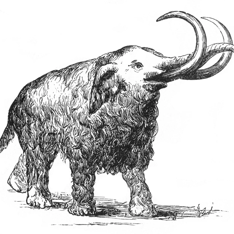 Mammoth  Cenozoic Mammal Poster Print by Science Source (24 x 18)