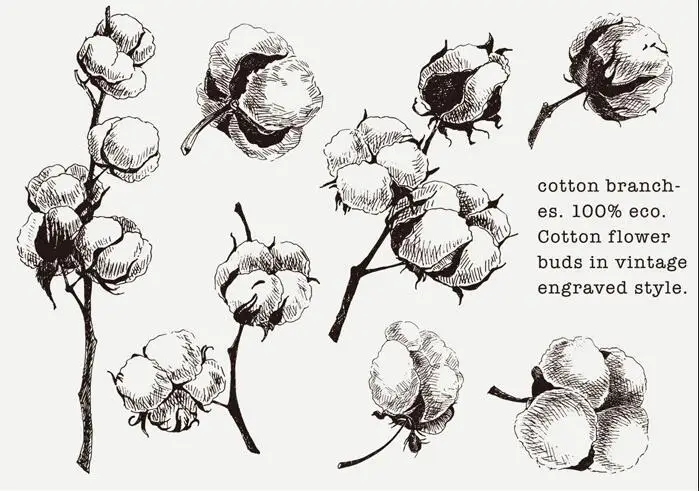 

Cotton Tree Transparent Clear Stamp for DIY scrapbooking/Card Making C367