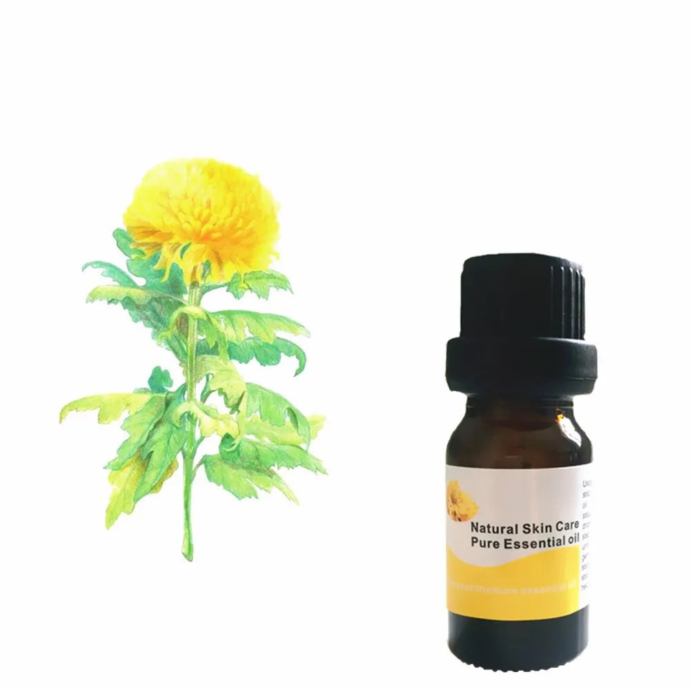 Chrysanthemum Anti wrinkle Strong Effects Powerful Firming Freckle