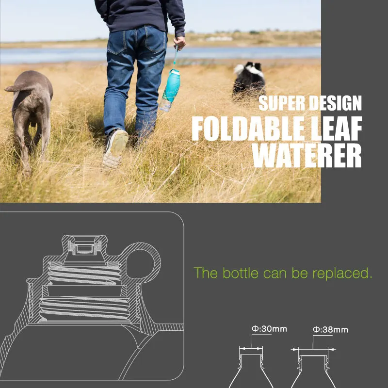 02 dog feeder 