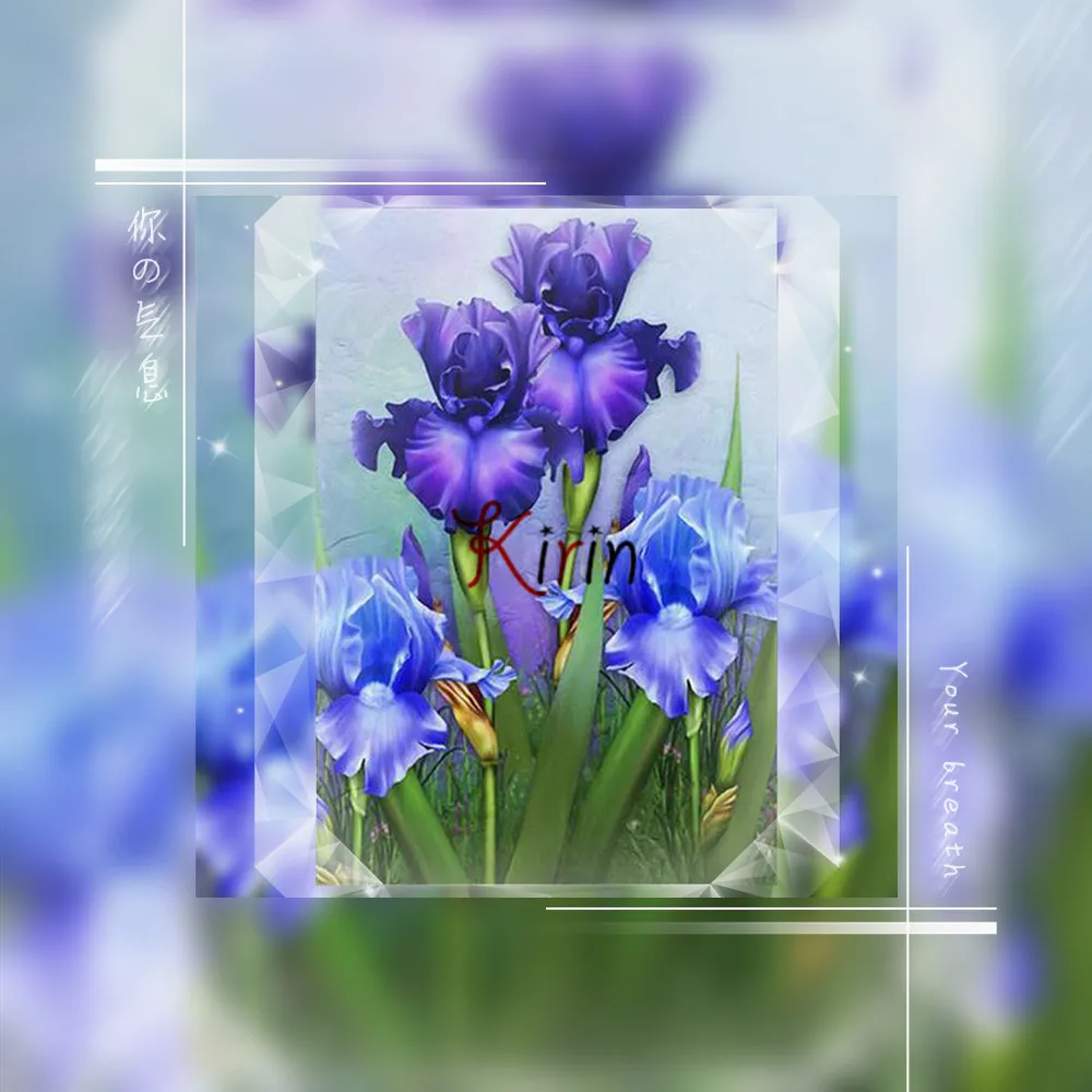 Diy 5d алмазная живопись Фиолетовый Вышивка крестом цветы алмазы мозаика картинки