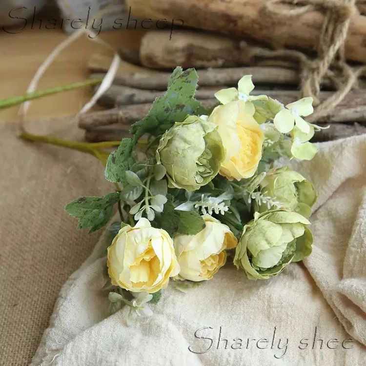 photography newborn