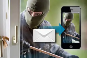 Email Alerts