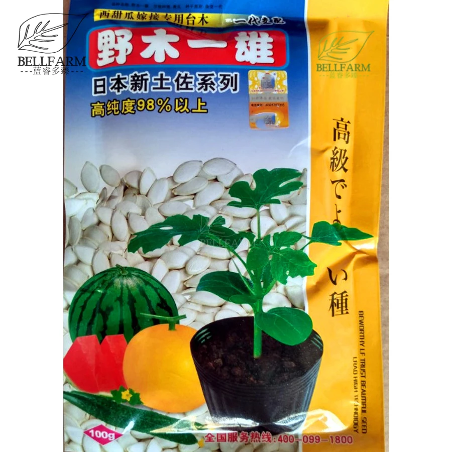 BELLFARM 100grams Rootstock Pumpkin Seeds for Watermelon Sweet Melon