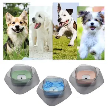 

Dog Floating Drinking Bowl Water Feeder Bottle for Puppy Cat Pets Supplies
