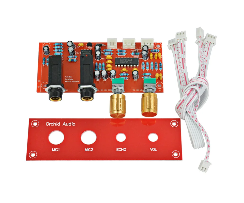 Aiyima PT2399+ NE5532 караоке микрофон усилитель звука Плата усилителя реверберации пластина+ передняя панель