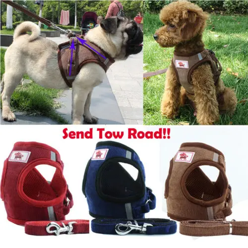 

Breathable Air Mesh Small Big Dog Harness and Leash Set Pet Puppy Vest Safe Leads Harnesses