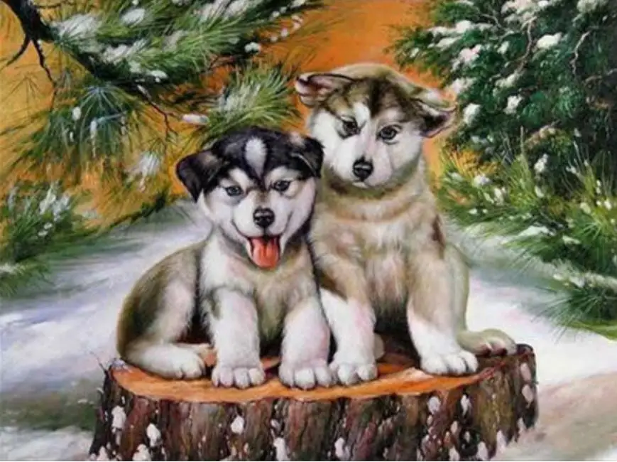 36020190318135753237