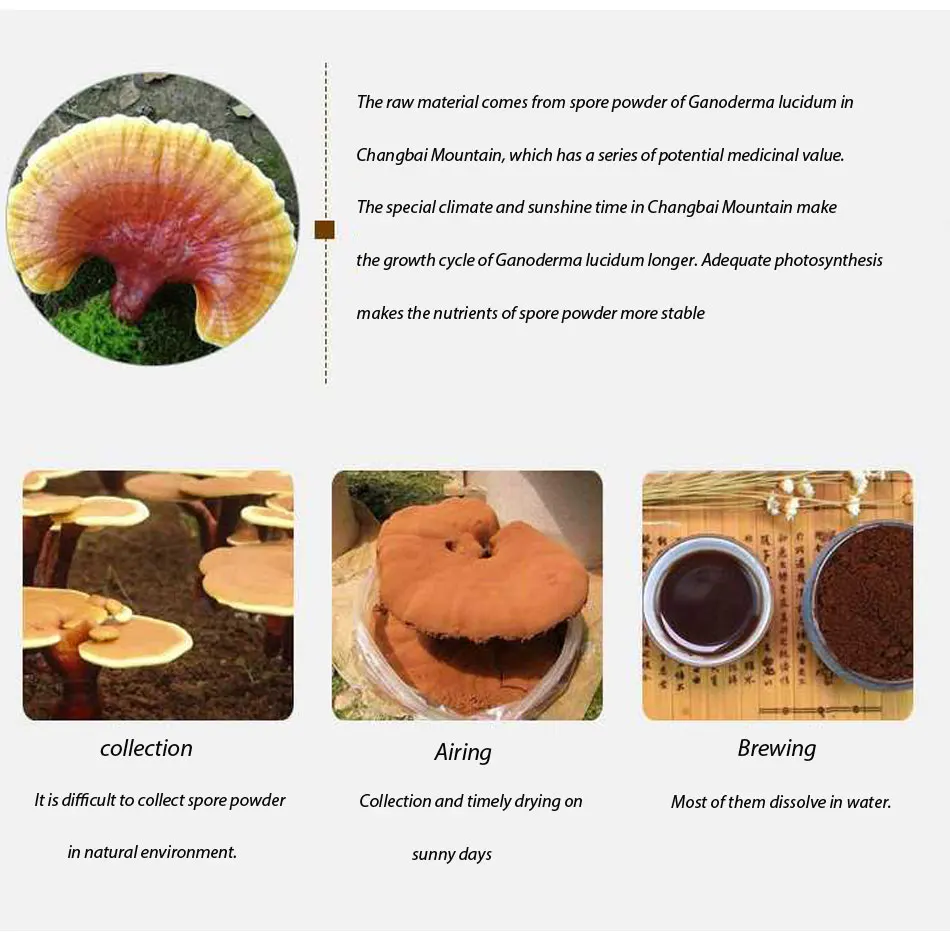 Здоровье жизни Ganoderma женьшень древние прописки для повышения иммунитета и функции секса