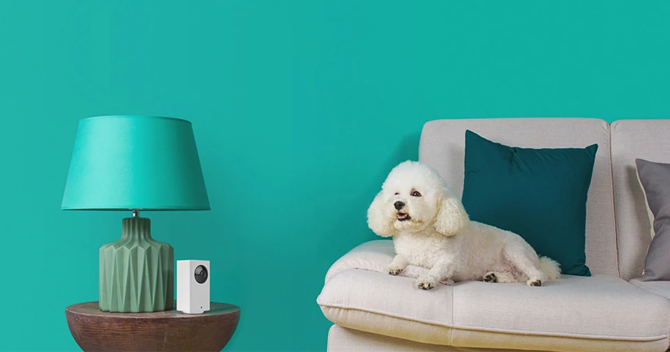 HTB1J4bBrpGWBuNjy0Fbq6z4sXXaj