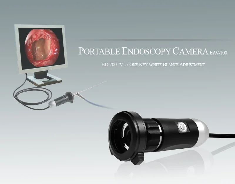 Portable 700TVL HD Endoscopy Video Camera Medical Veterinarian