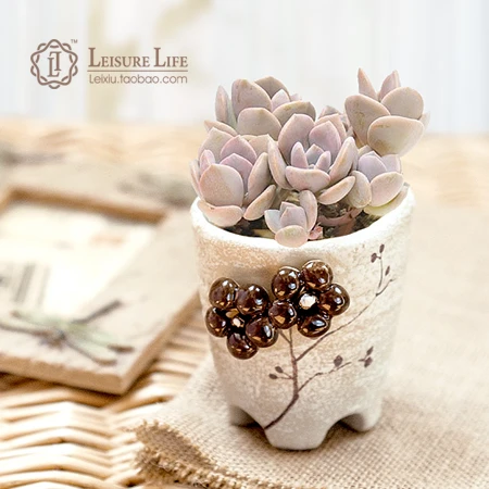 Viande Pot De Fleur Petit Pot De Fleur En Ceramique Main En Trois Dimensions De Couleur Dessin Vintage Bureau Bonsai Aliexpress