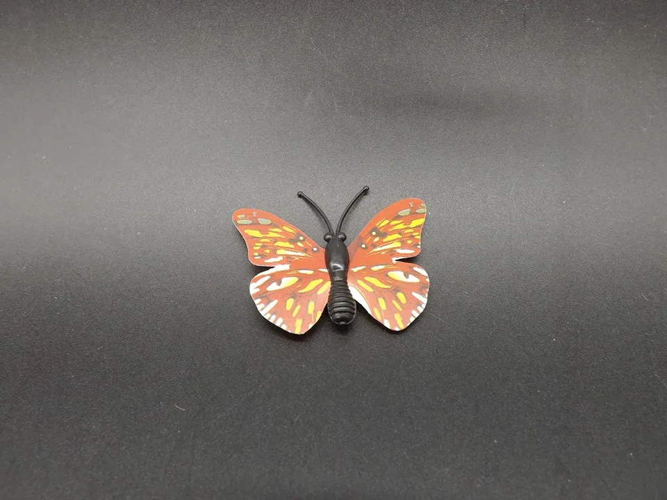 I255-Butterfly (6)
