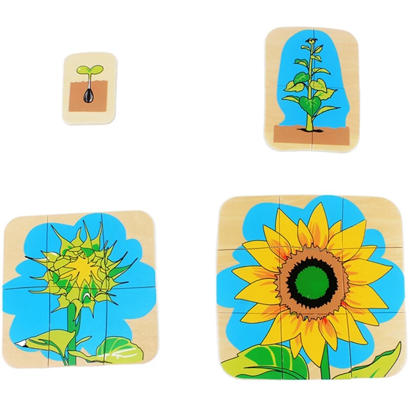  Children'S Multi-Layer Puzzle Wooden Toy Sunflower Puzzle Life Cycle Toys Kindergarten Teaching Aid - 33041028916