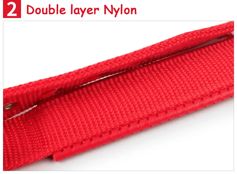 Nylon Medium Dog Collar (6)