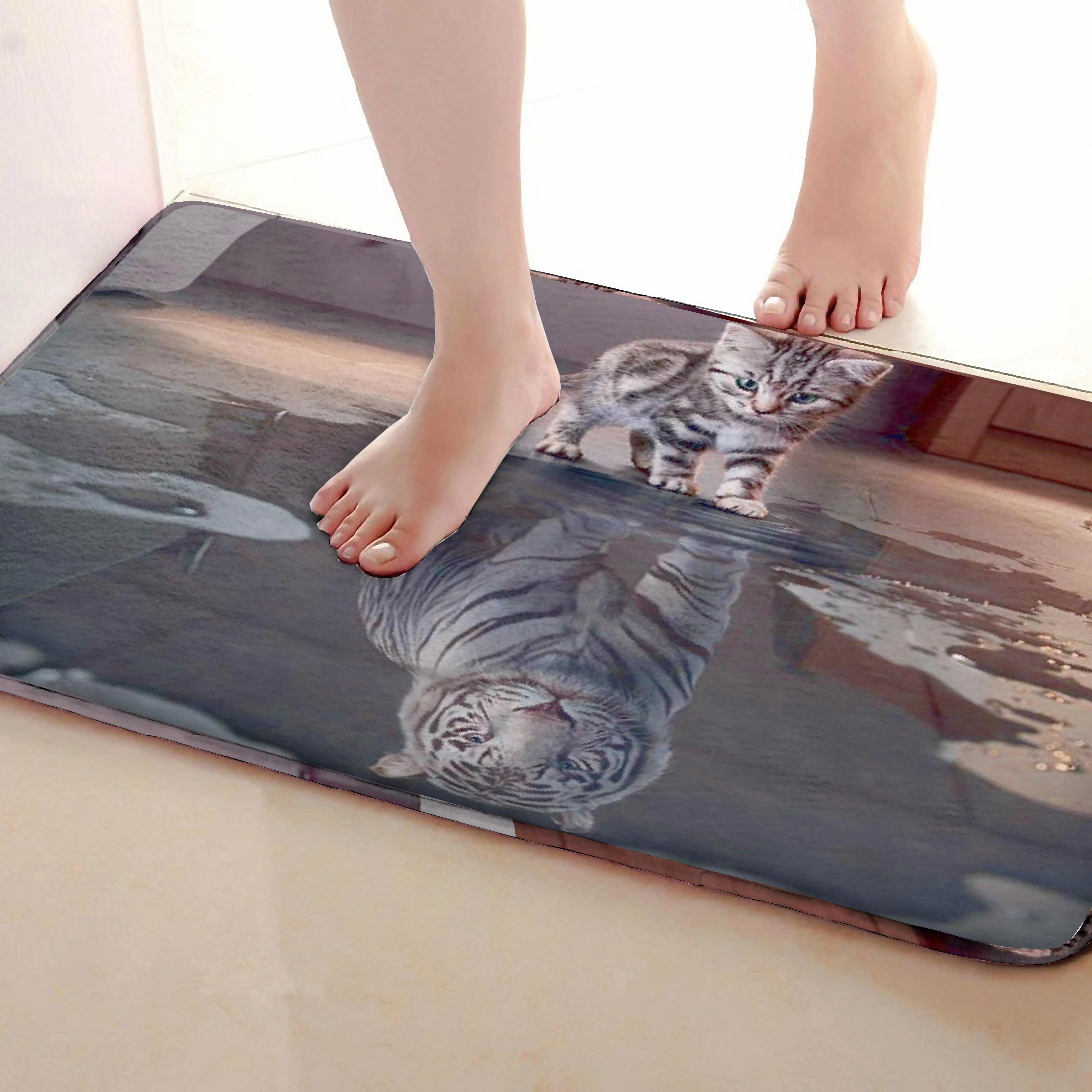 Cat Style Outdoor Mats,Funny Anti skid Bath Mat, Doormats,Door Entrance