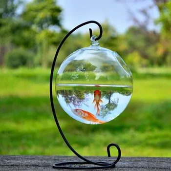 

4sets/pack Diameter=12cm Clear Glass Material Glass Terrarium Aquarium Metal Stand Matching Home Decorative