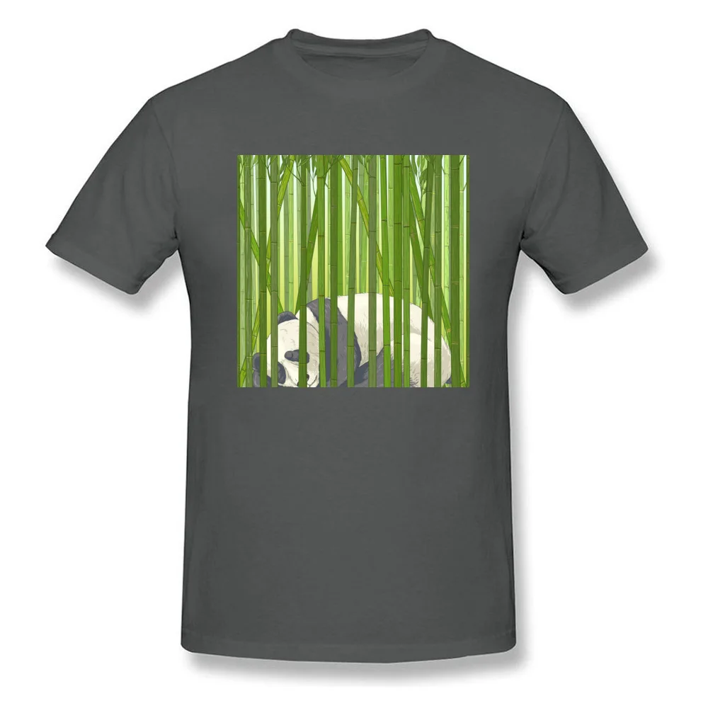 Sleeping Panda_carbon