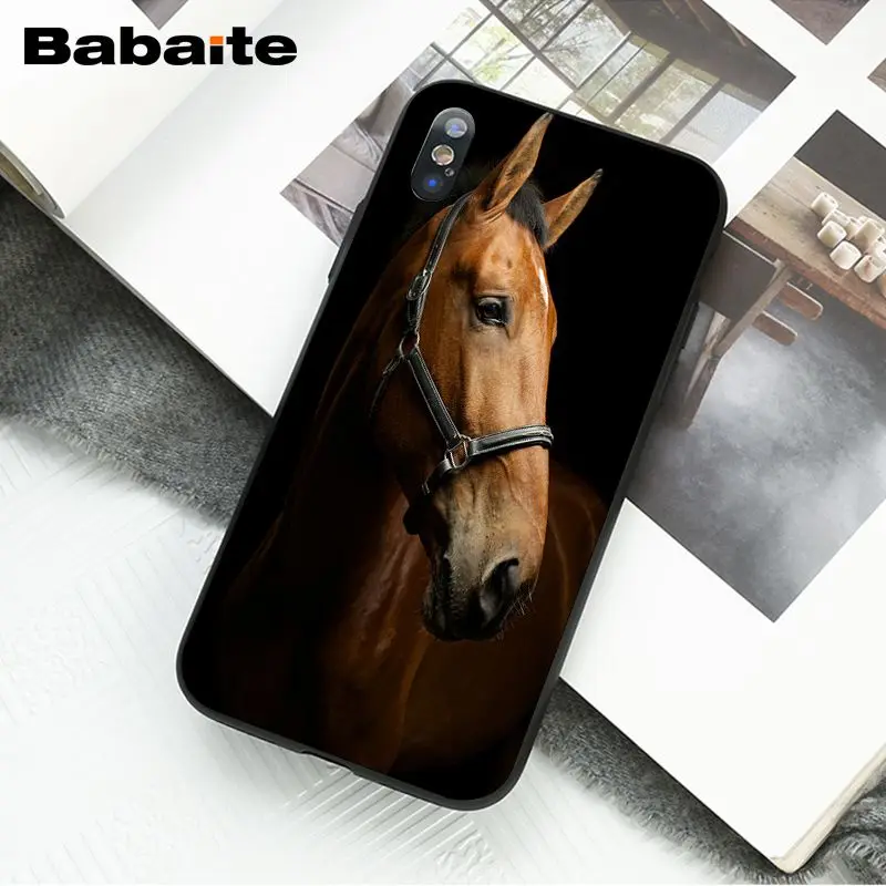 Horse Animal