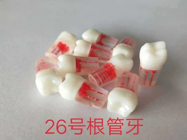 26