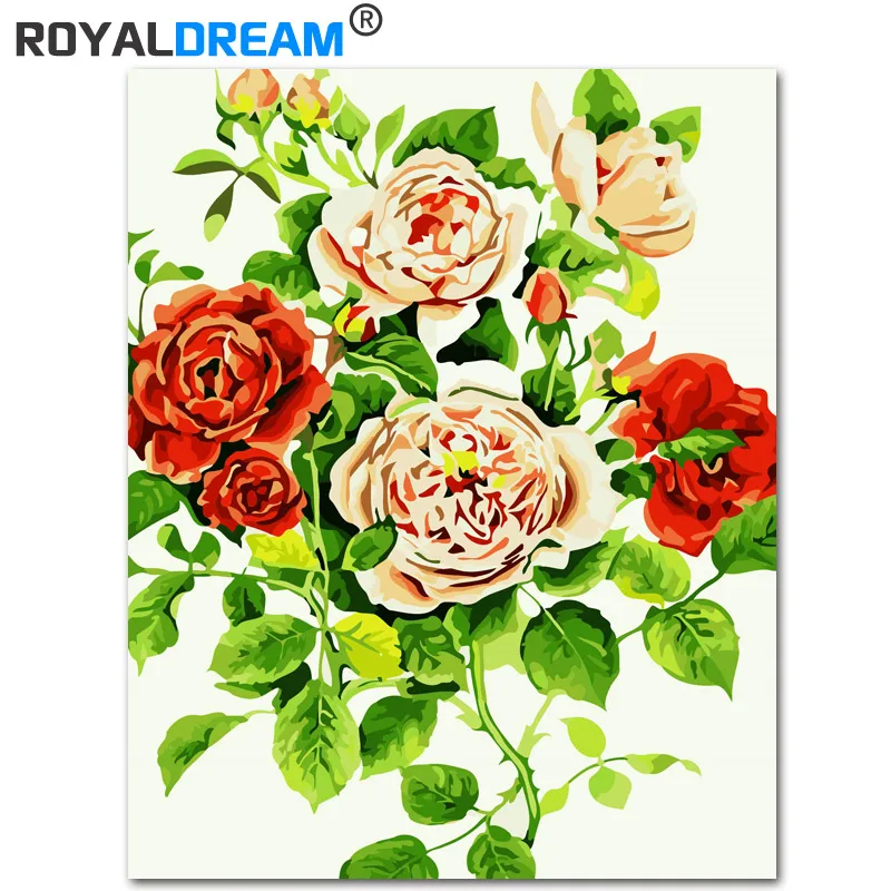 ROYALDREAM национальная цветная пион DIY цифровая картина маслом по номерам Европа