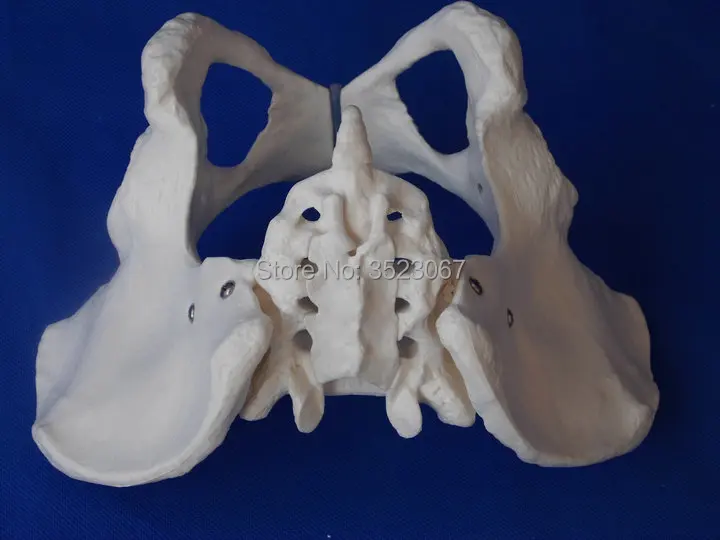 s-l1600 (5)_