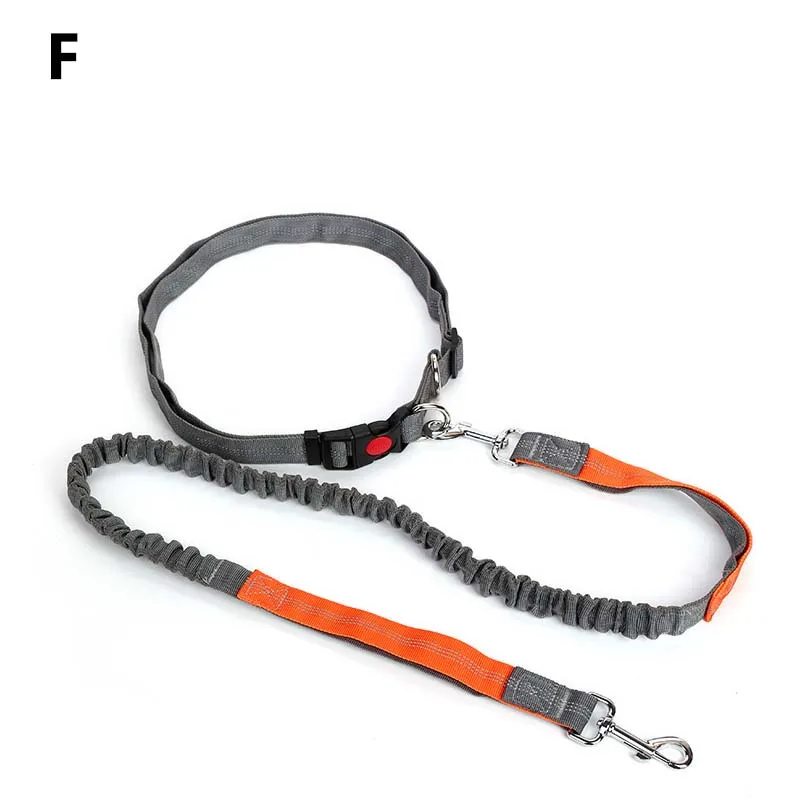 New Hot Style Night Reflective Elastic Nylon Leashes Hand Free Waist Belt Jogging Leads Retractable Leash For Small Pet Dogs