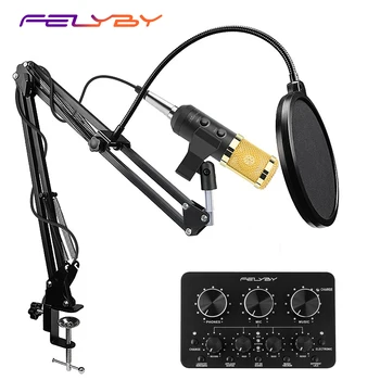 

FELYBY BM 900 Professional Studio Condenser Microphone for Computer Video Recording & Adjustable volume and reverb Mikrofon