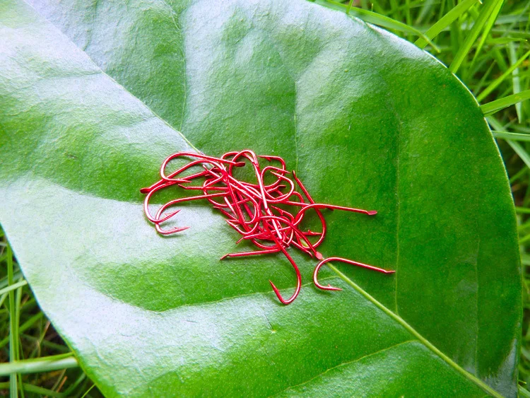 Food color. T shirt jordan uae. Этапы производства красного вина. Этапы производства вина. Алкогольное желе.