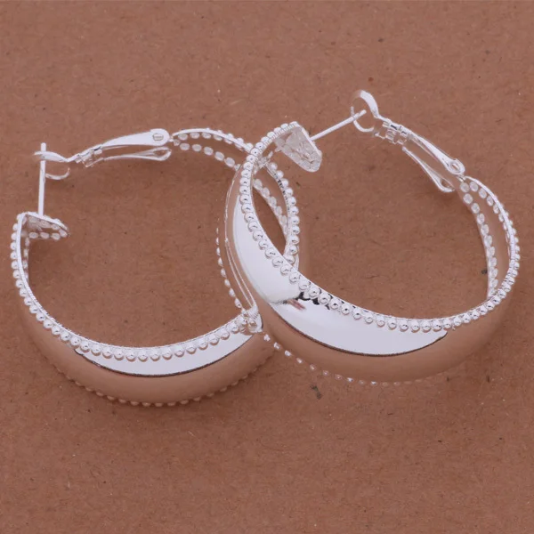 

wholesale High quality silver Fashion jewelry errrings WE-564