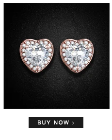 --925-Silver-Earrings_01_01