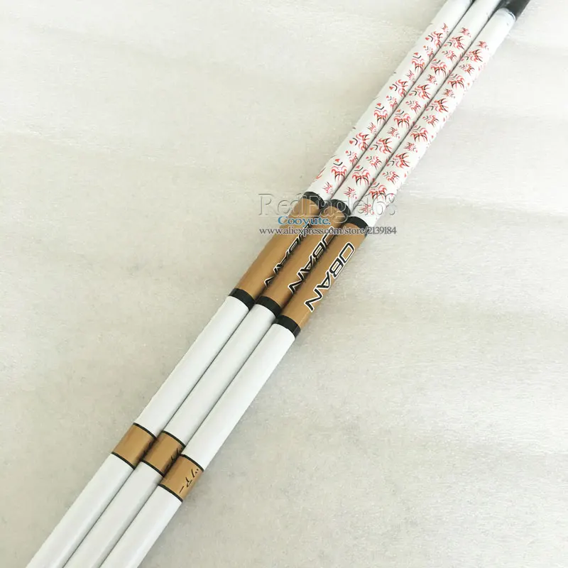 gan-171