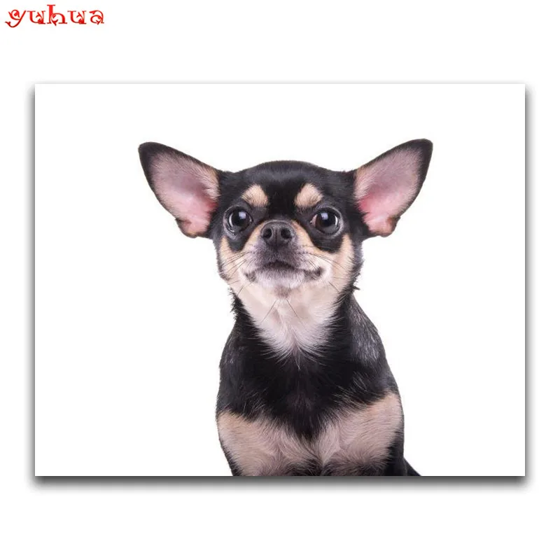 Full Square Diamond painting Cross stitch Animal dogs Round embroidery dierlijk DIY 3D mosaic colorful Art | Дом и сад