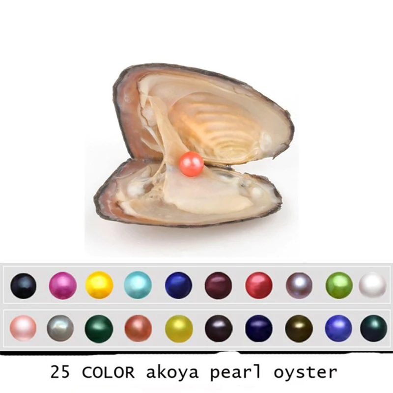 6 (18)
