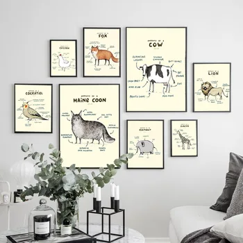 

Basic Anatomy Of Animal Canvas Painting Nordic Poster Wall Art Prints Scandinavian Decoration Pictures Living Room decorative