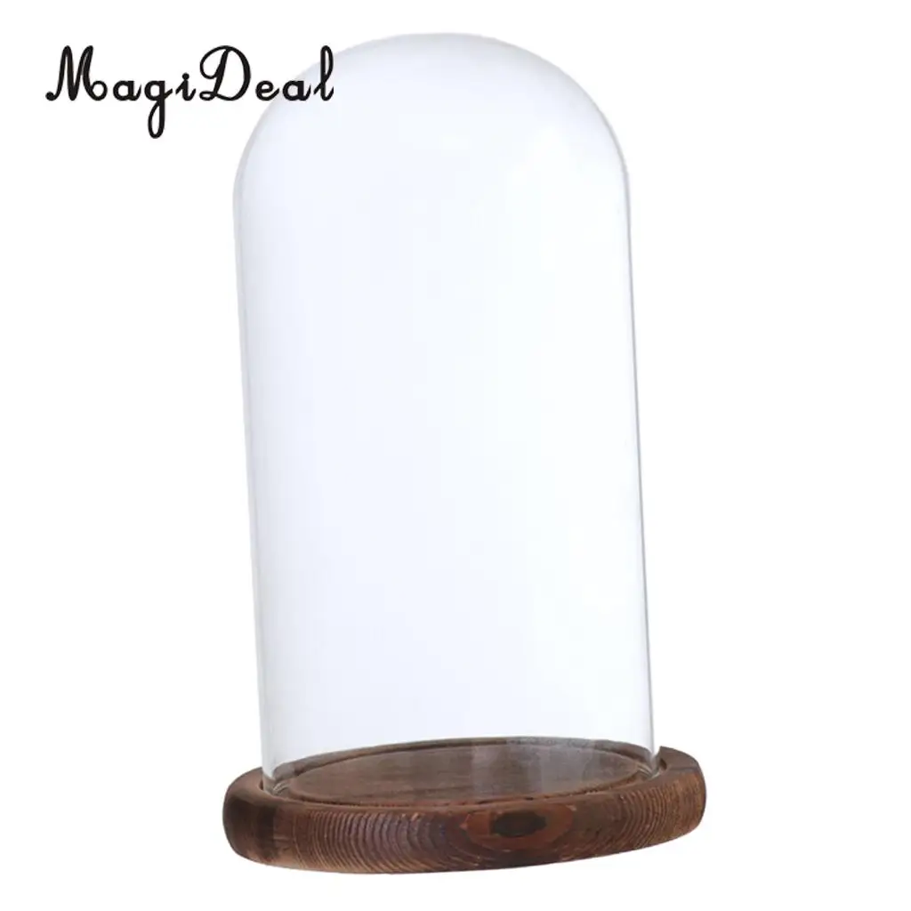 MagiDeal Glass Dome Cloche with Wooden Base Flower Landscape Holder Glass Cover Black G