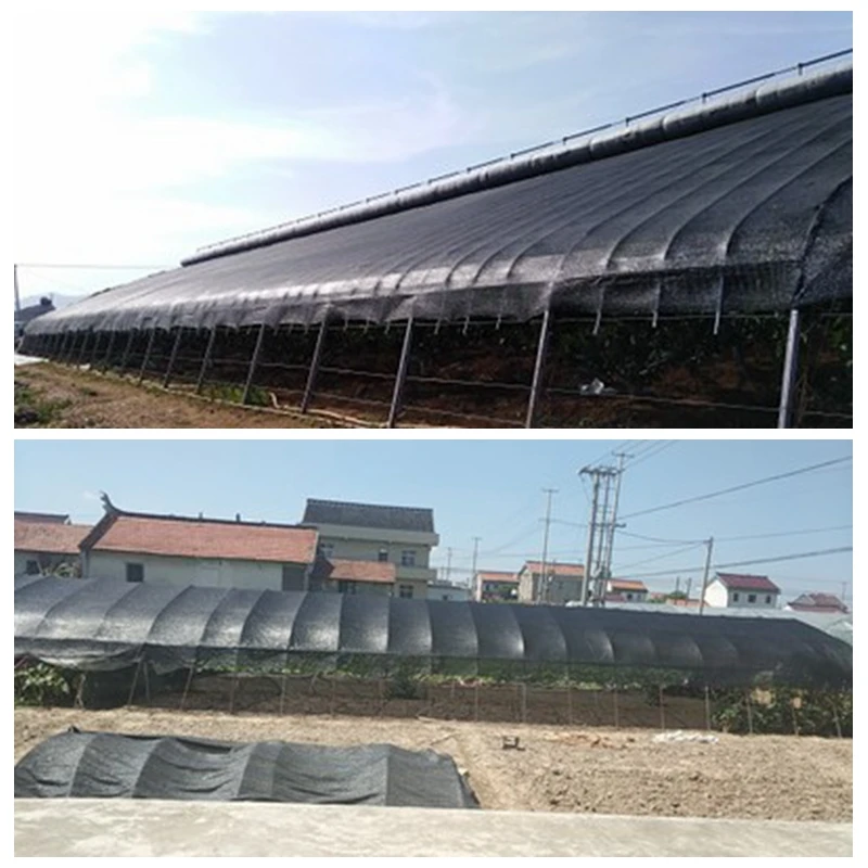 Tewango длина 3 м HDPE Солнцезащитная сетка наружная анти УФ защита для двора