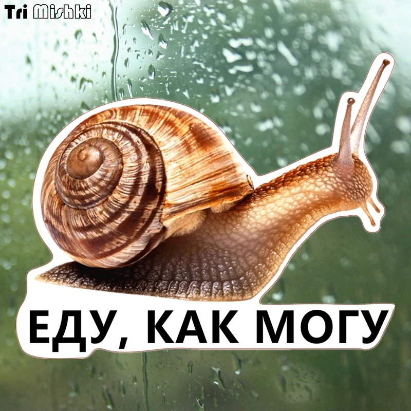 

Tri Mishki WCS162 17x14cm snails and words Food, how can I car sticker funny turbo colorful car stickers auto automobile decals