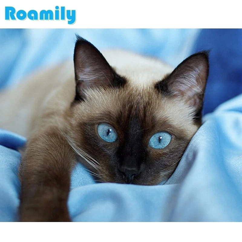 

5D Diy Diamond Painting,Cat with Blue Eyes,Picture By Rhinestones,Square,Daimond Painting,Picture On Wall,Diamond Paintings