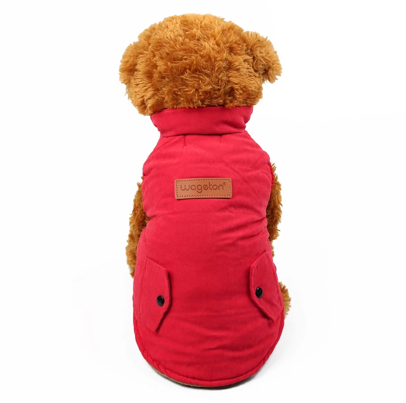 14 dog winter 