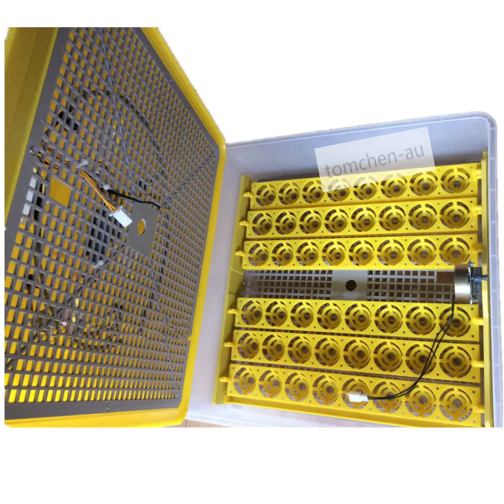 Mini 48 Eggs Automatic Turning Chicken Duck Hatchery Quail Incubadora Parrot Egg Incubator Poultry Hatching Machines Mini 48 Eggs Automatic Turning Chicken Duck Hatchery Quail Incubadora Parrot Egg Incubator Poultry Hatching Machines