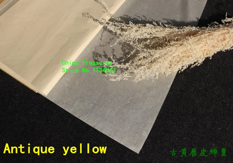 Рисунок 6 - Китайская Цикада