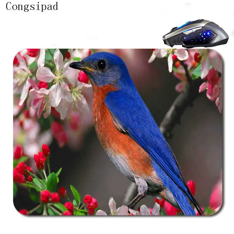 Congsipad красочные Pajaros пользовательские противоскользящие высокой четкости печати