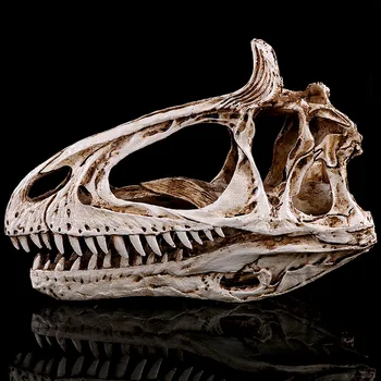 

1/3 Cryolophosaurus Dinosaur Resin Fossil Skull Model for Home Decoration Collectibles Dinosaur Head Skull Skeleton Model