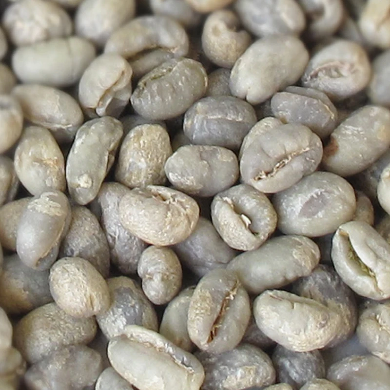 Wholesale Jinqing Featured Products China Yunnan Baoshan Arabica Raw