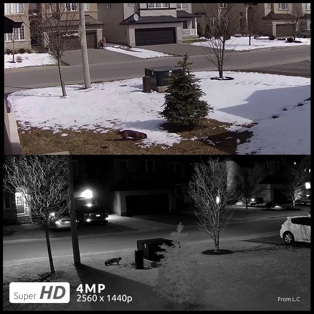 Reolink IP камера наружная PoE аудио 4MP день и ночное видение удаленный вид P2P пуля камера наблюдения RLC-410