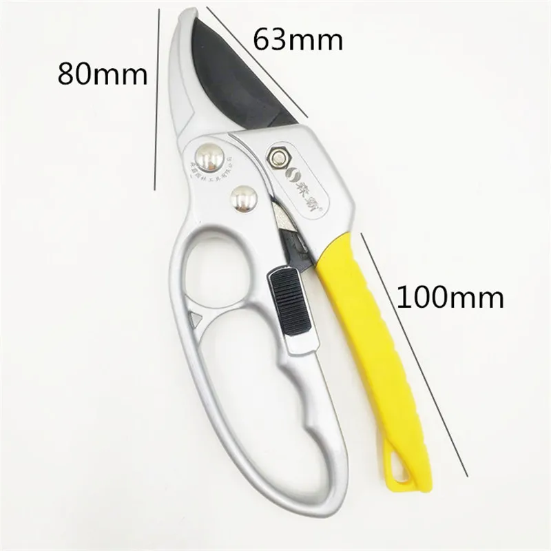 Garden Pruning Shear (2)