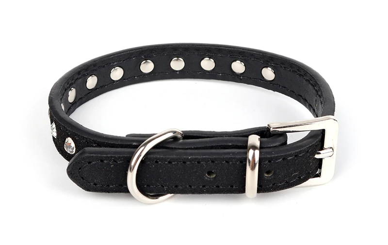 dog-collor-30285d7