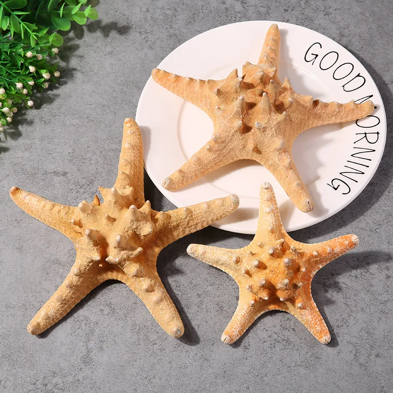 3 шт., натуральные мини-морские звезды, ремесленные украшения, небольшой пейзаж, украшение для аквариума, морская звезда, рыба