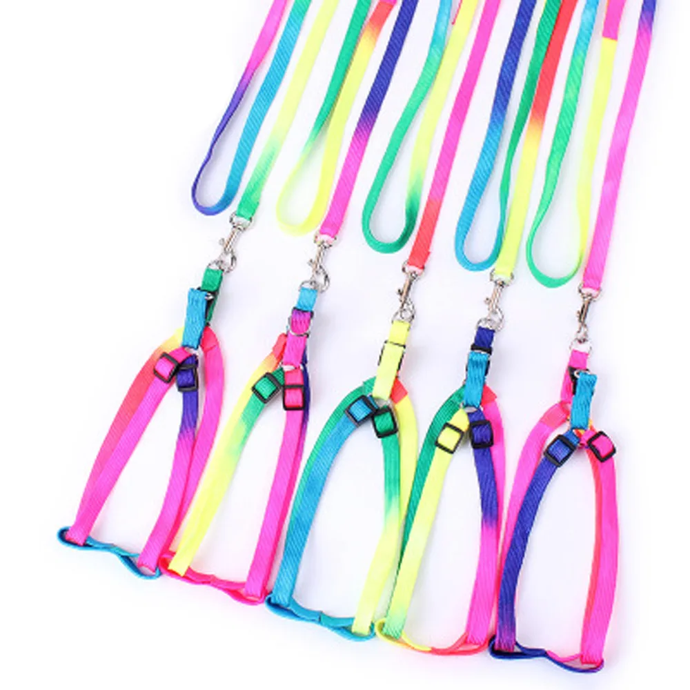 

Nylon Pet Cat Kitten Adjustable Colorful Harness Lead Leash Collar Belt Dropshipping Sep15
